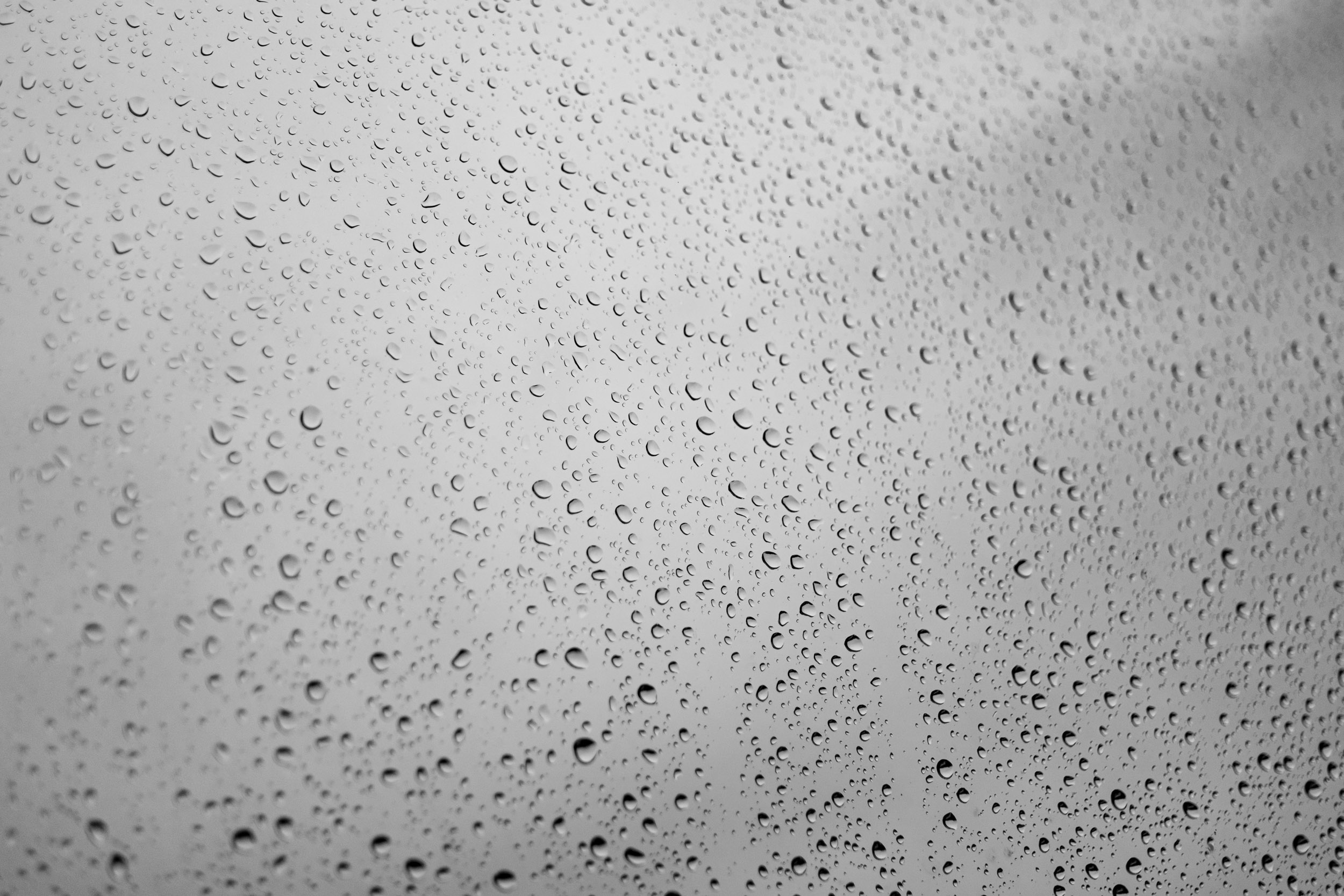 Raindrops on our window this morning.
