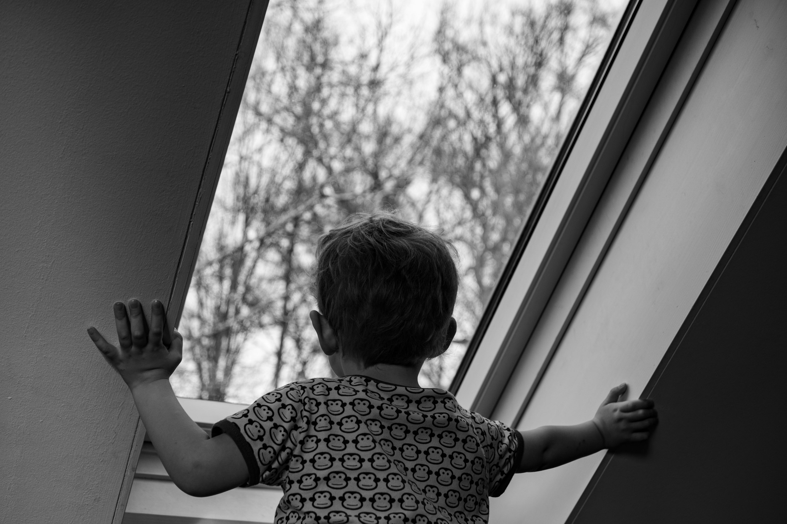 My son trying to spot the woodpecker in the forest behind our house, through the roof window.