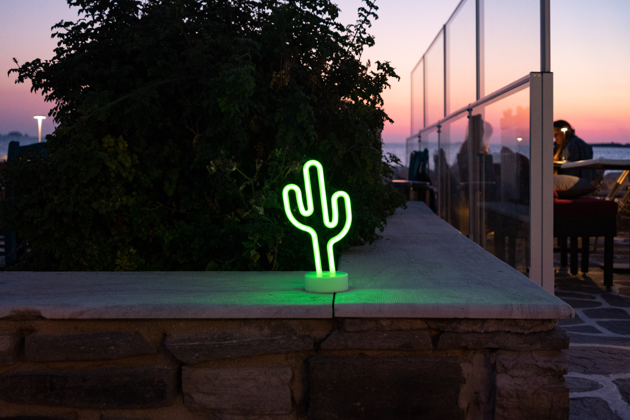 A neon sign of a cactus.
