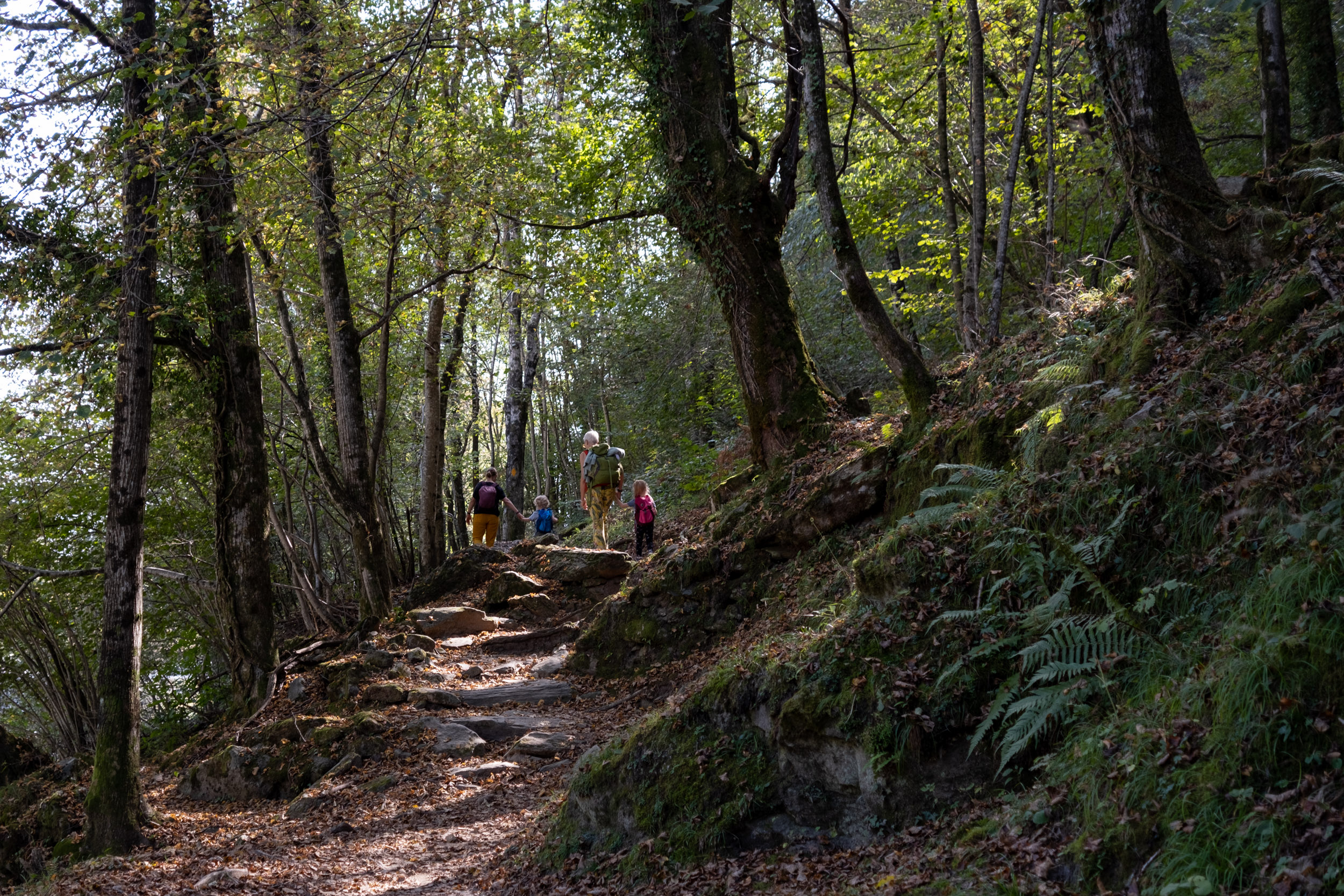 Hike through the woods in Maggia Valley, from Giumaglio to Mogeghno.