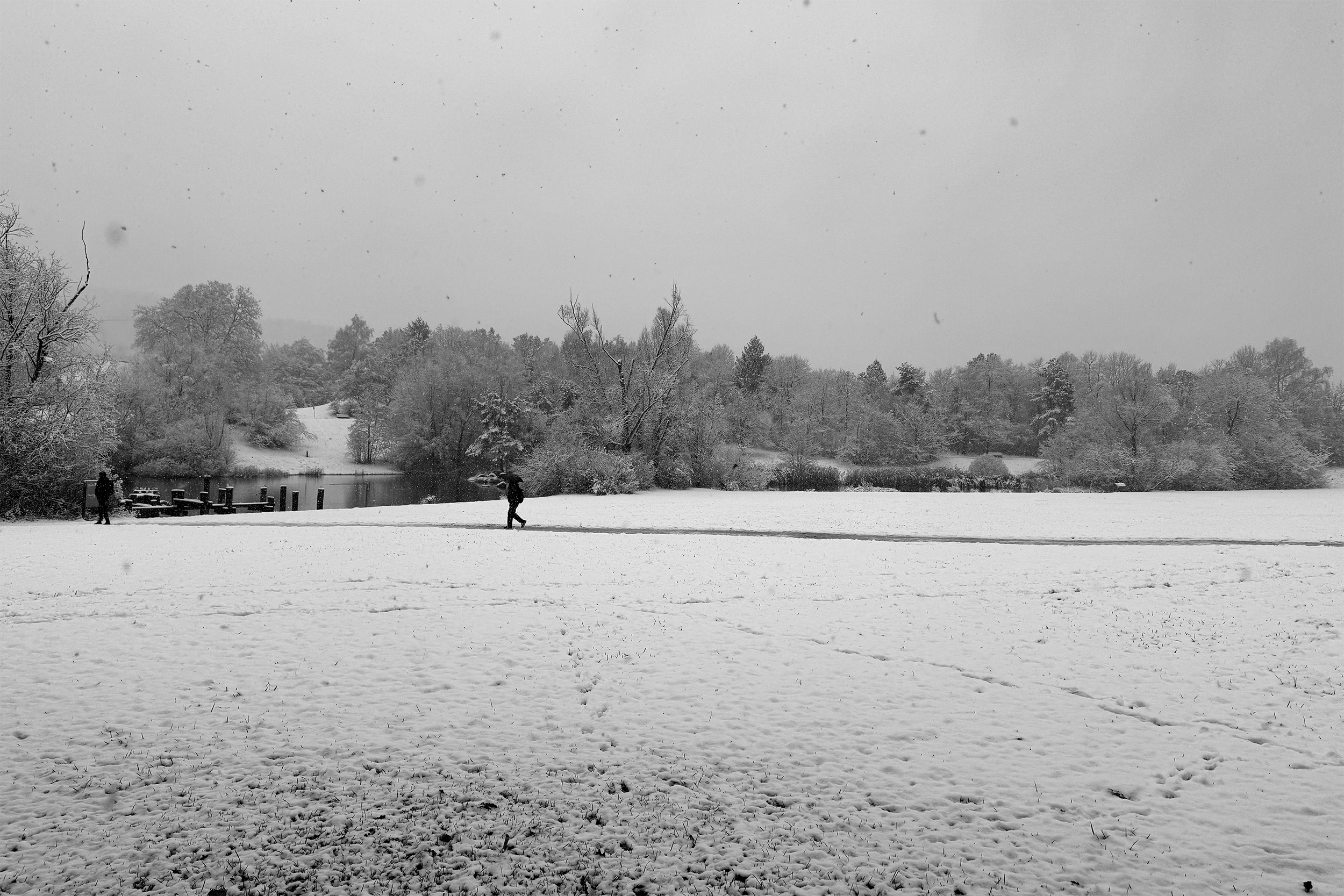 Irchelpark in a thin layer of snow, this morning on my way to the office.