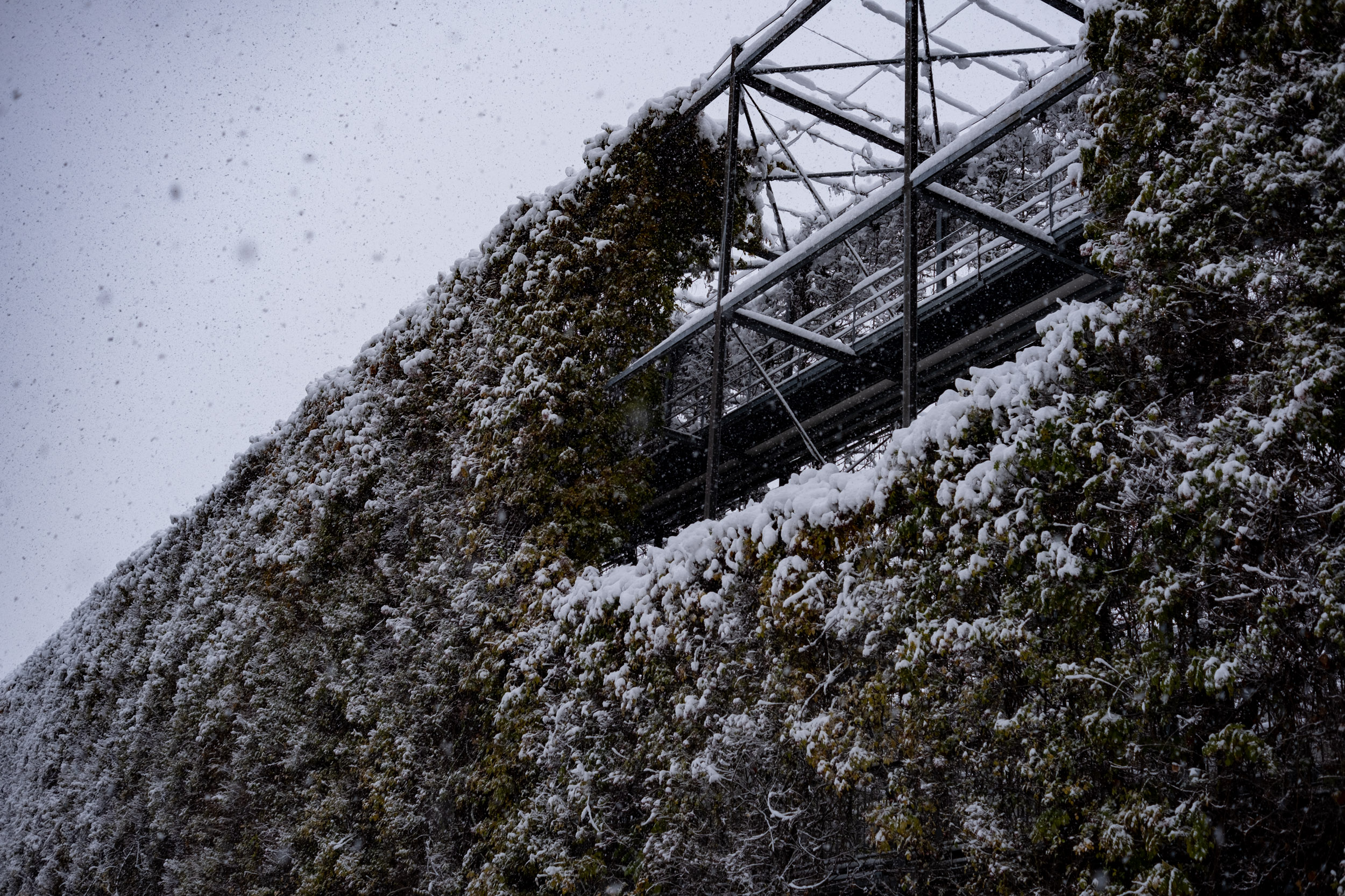 Loads of snow turned this metal structure with its climbing plants into a winter wonderland.
