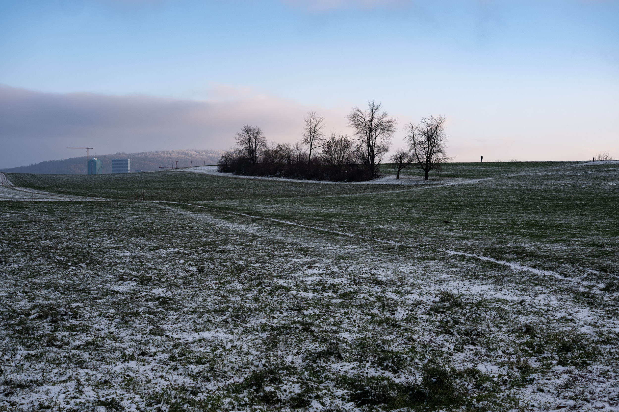 A frozen field near Waidhof, a farm in Zurich, near where we live.