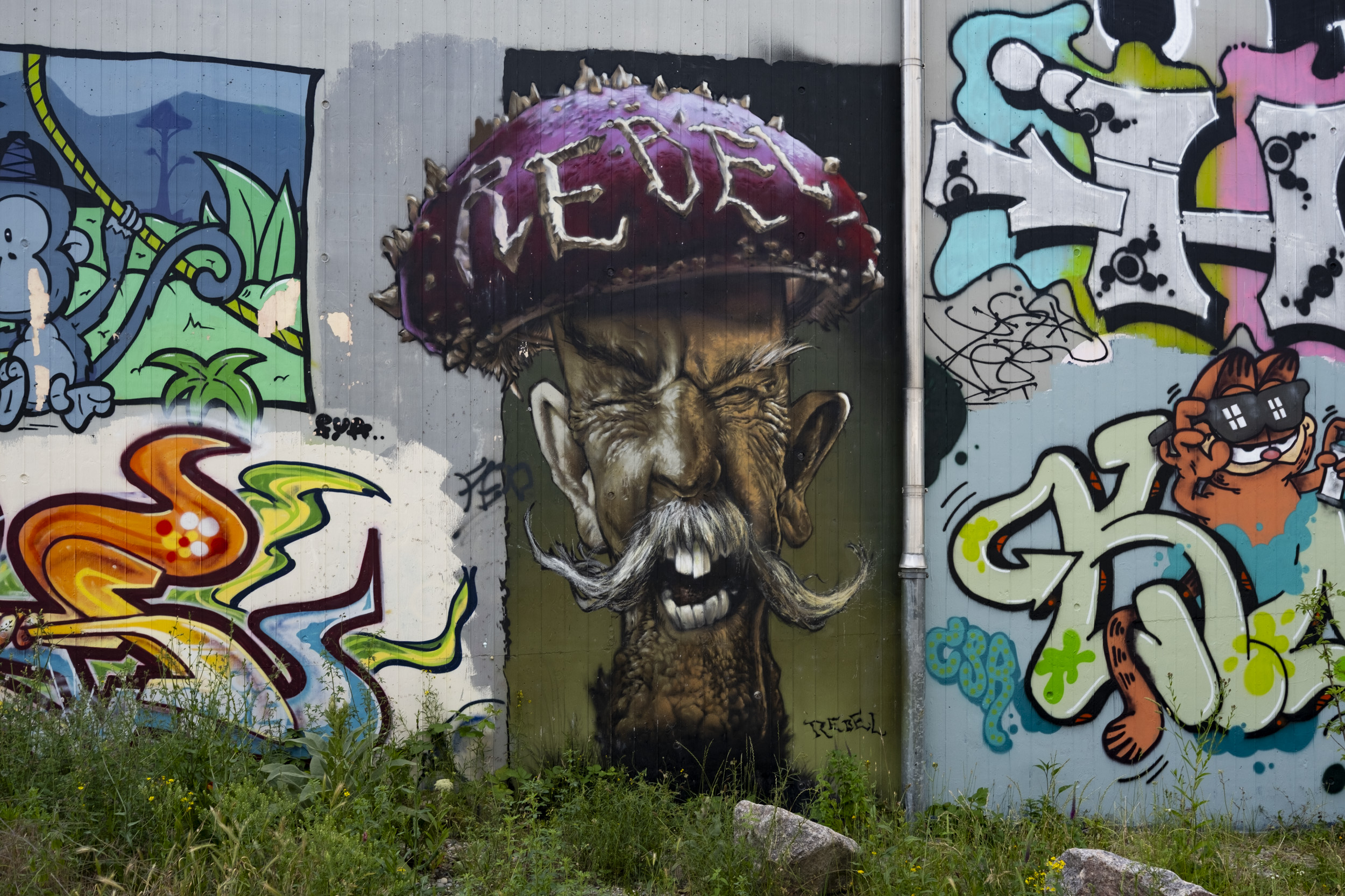 A very detailed and realistic street art piece, depicting a smiling old guy's face, styled as a fly agaric.