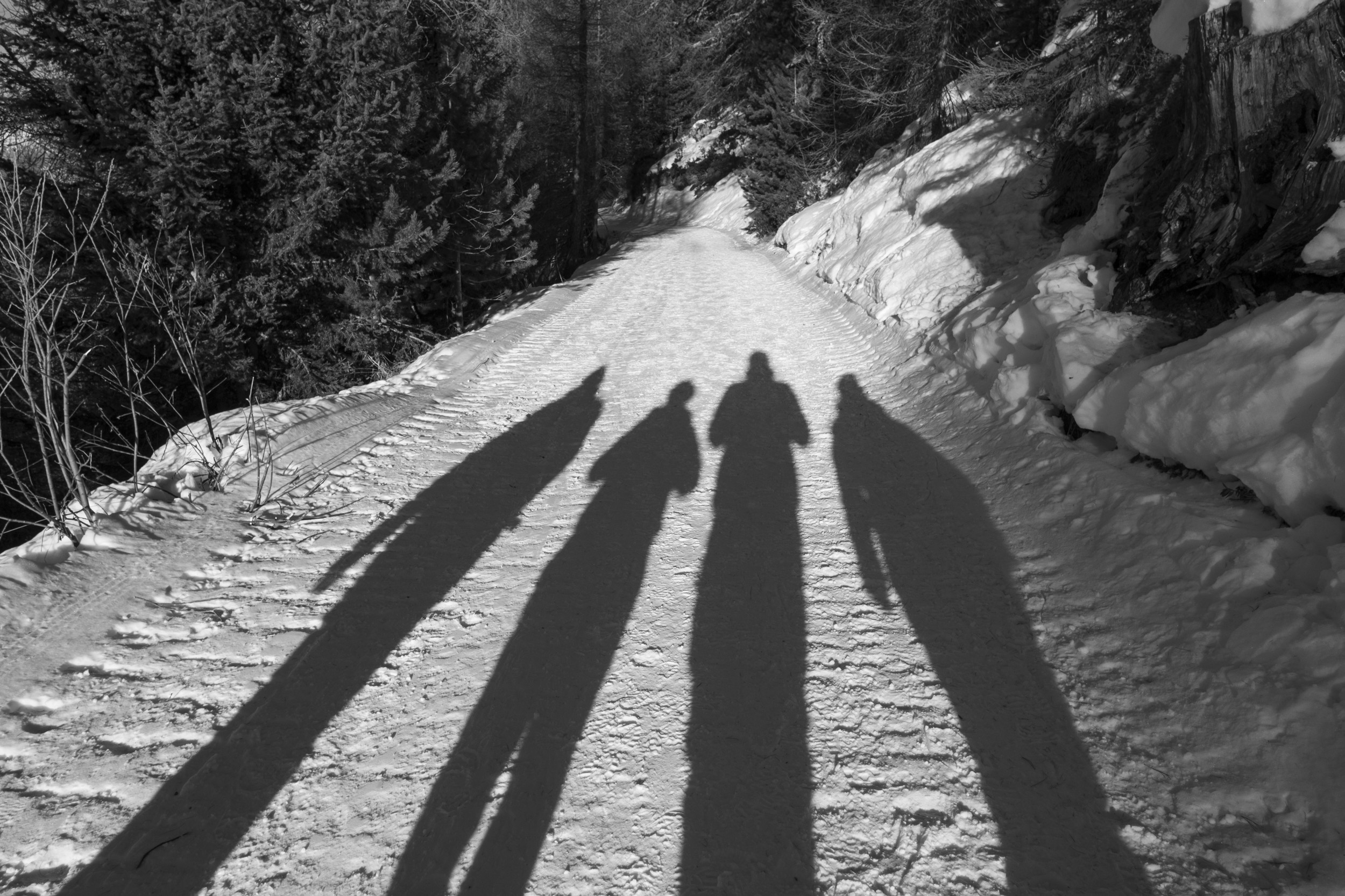 Shadows in the snow during a walk today.