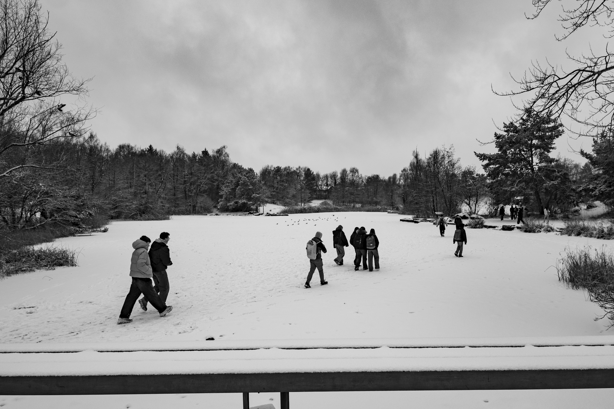 Students walking over the frozen lake in Irchelpark.