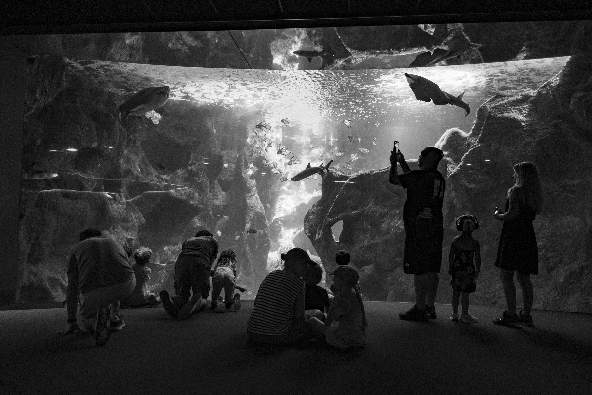 Black & White photo of people standing and sitting in front of a huge aquarium with sharks and other fish, in La Rochelle Aquarium.
