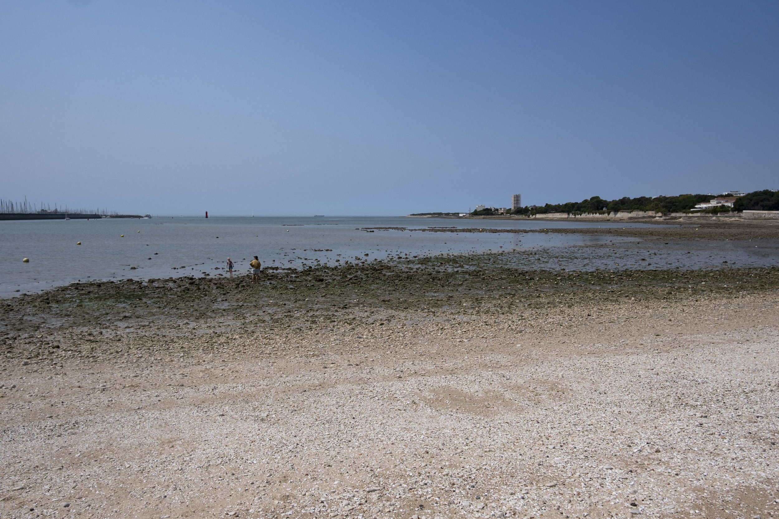 Pebbly beach at low tide with my family wading in shallow water, a marina in the distance on the left, and a wooded coastline on the right under a clear blue sky.