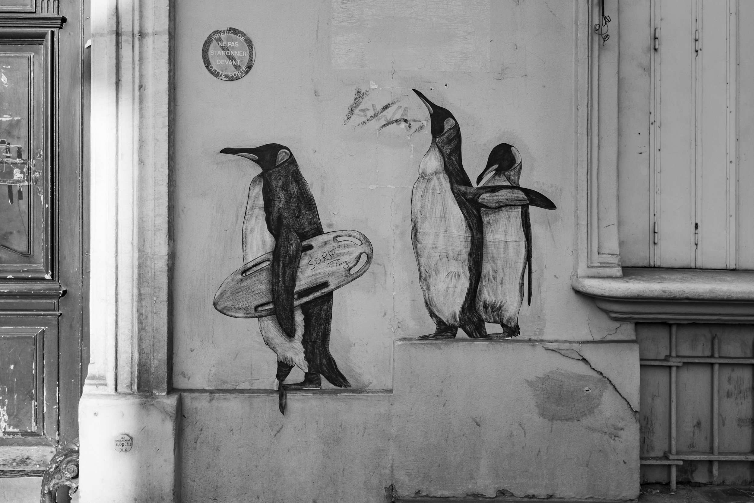 Black-and-white street-art mural of three king penguins on a weathered Parisian wall, one holding a surfboard.