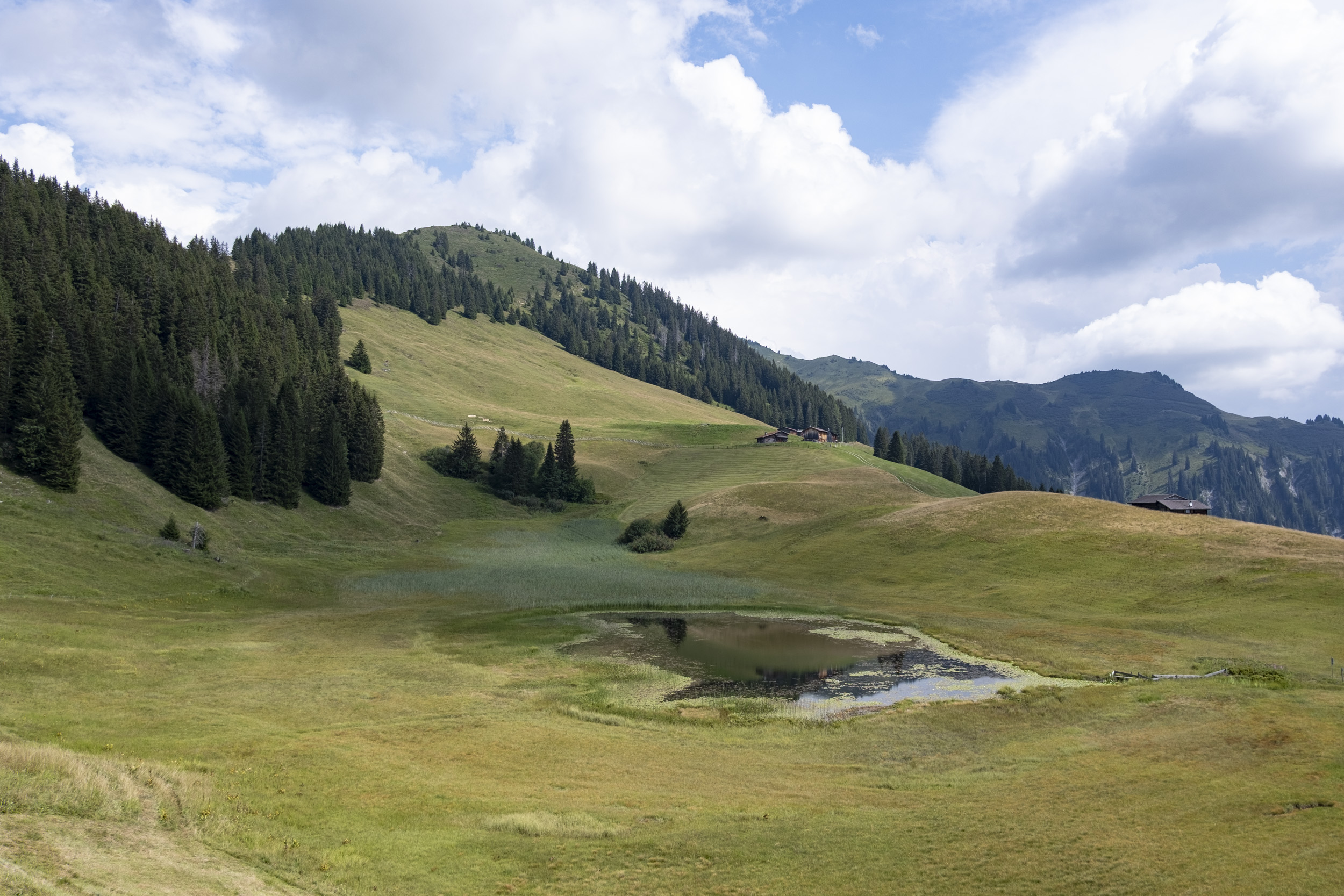 Mountain lake "Stelsersee" in Stels, Grison.