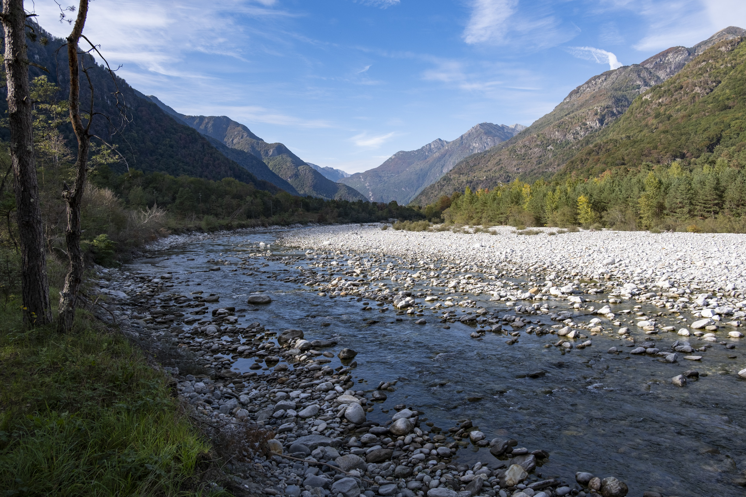 The Maggia River near Aurigeno, flowing shallow and clear over grey and white stones between forested mountain slopes under a blue sky.